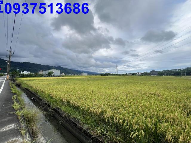 宜蘭農地-13