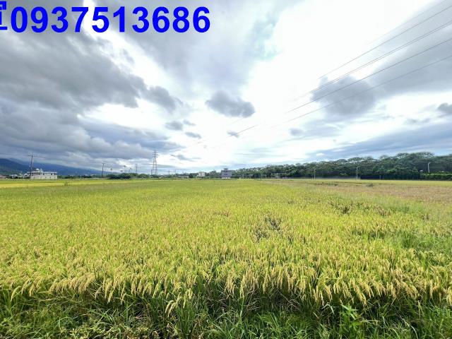 宜蘭農地-14