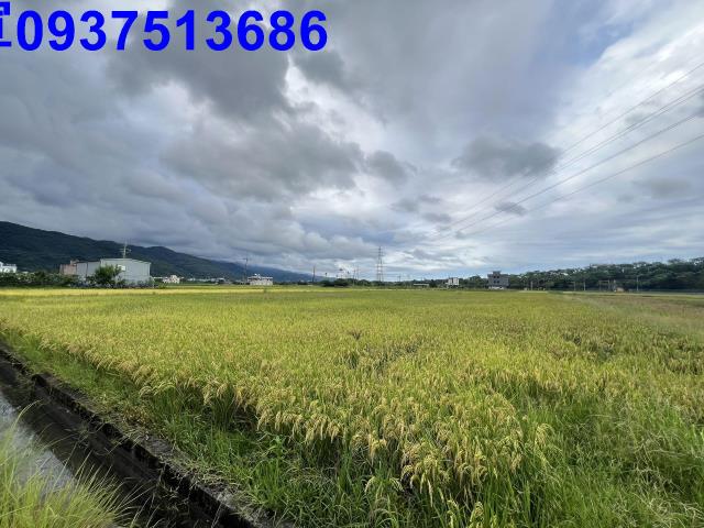 宜蘭農地-15