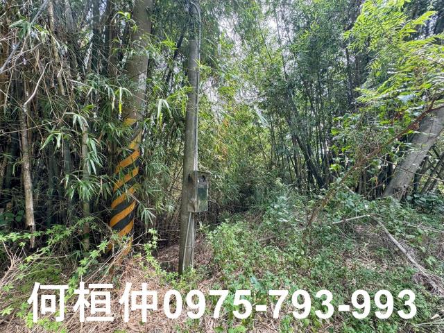 苗栗建地-11