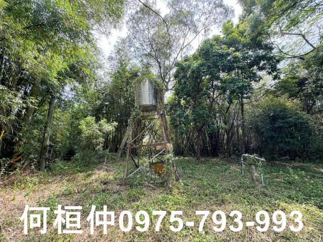 苗栗建地-12