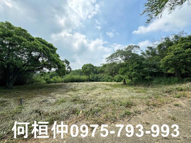 苗栗建地-13