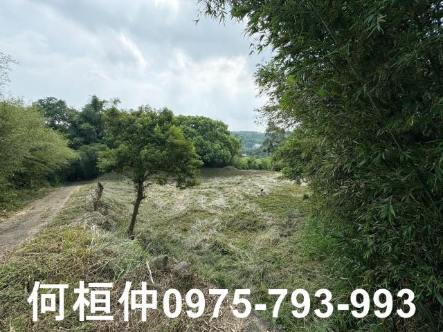 苗栗建地-14