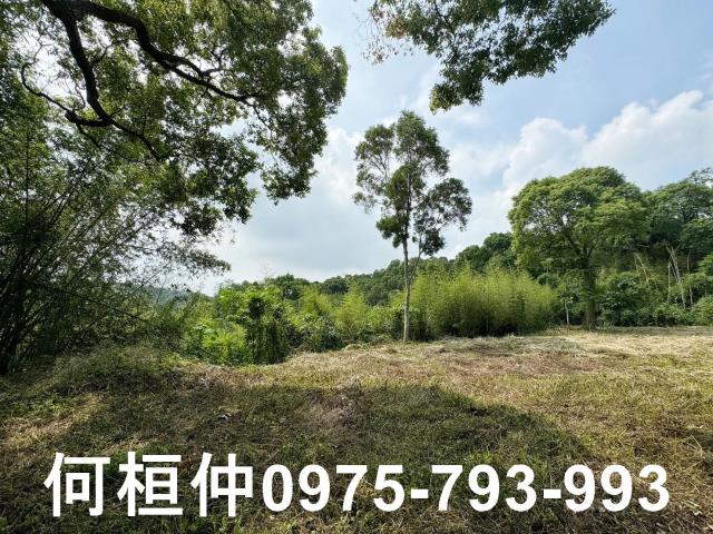 苗栗建地-6