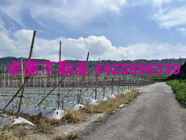 苗栗卓蘭農地-1