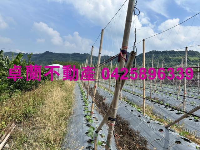 苗栗卓蘭農地-2