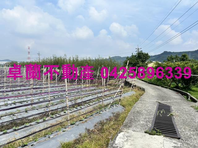 苗栗卓蘭農地-7