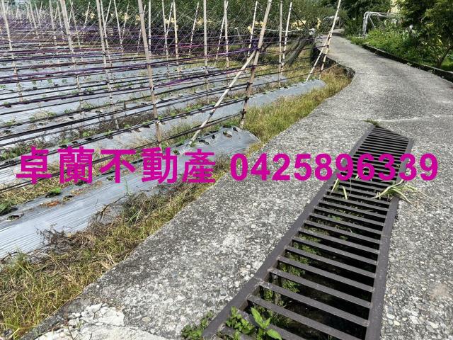 苗栗卓蘭農地-8