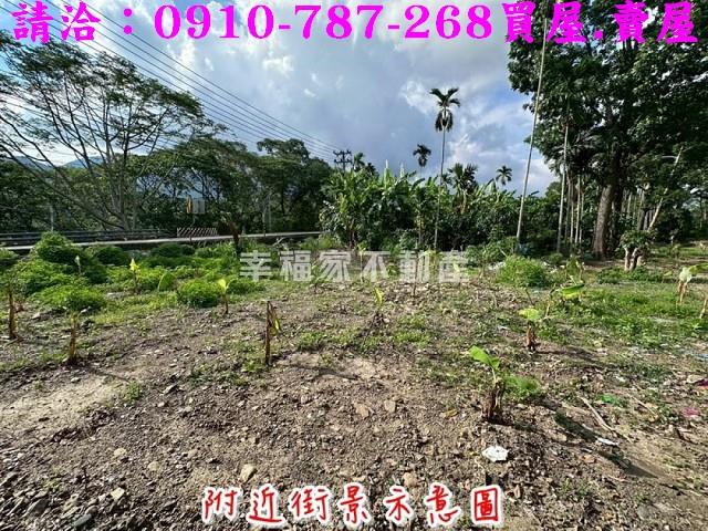 高雄六龜農地-2