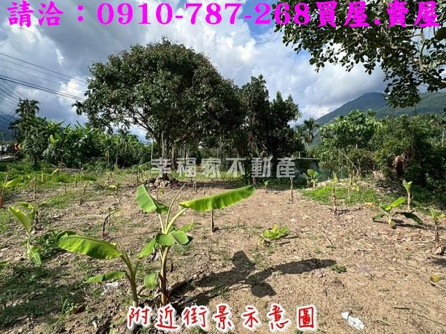高雄六龜農地-4
