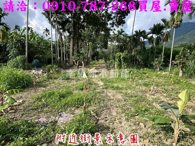 高雄六龜農地-5