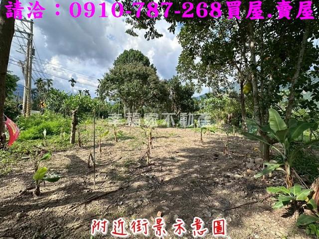 高雄六龜農地-7