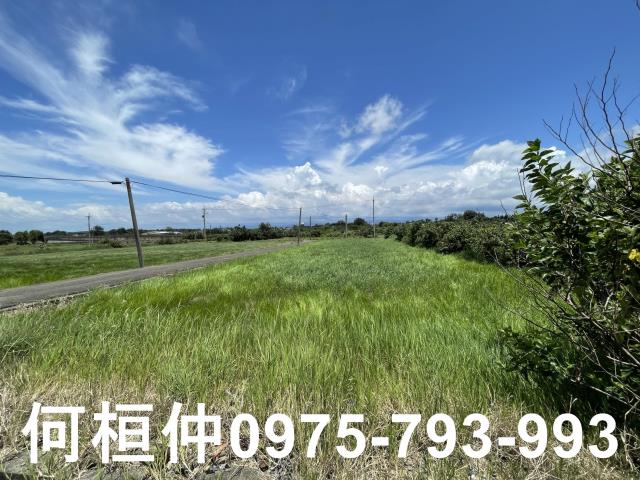 苗栗後龍農地-3