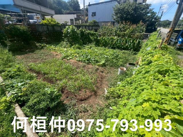 苗栗造橋建地-4