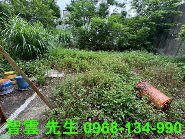 八德工業地-1