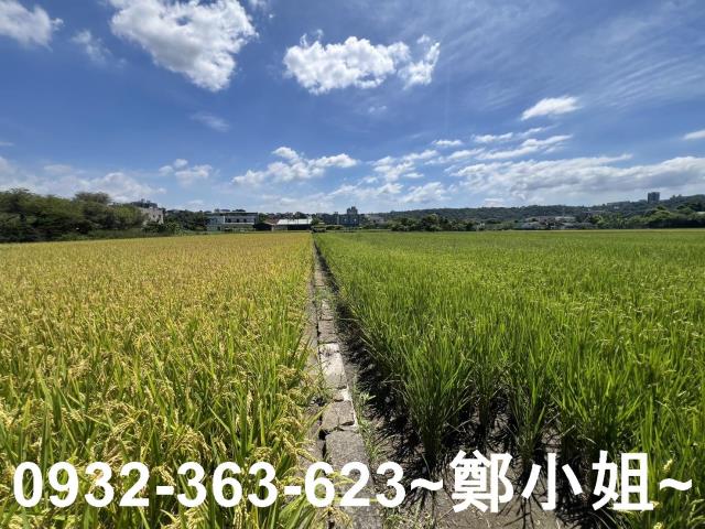 大溪農地-2