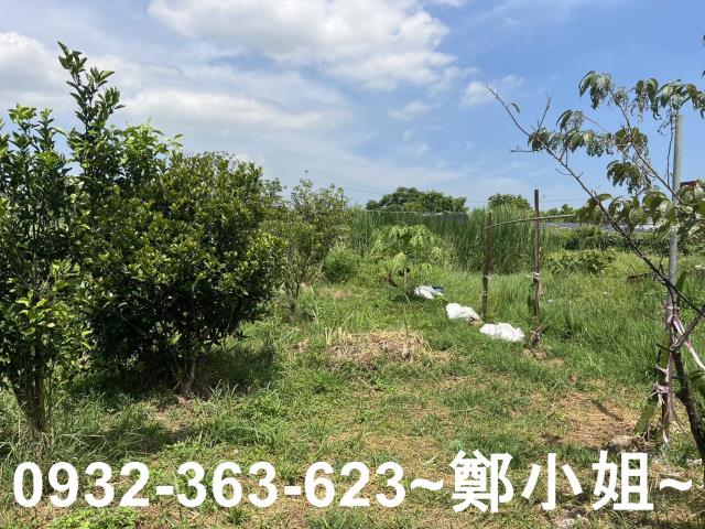 蘆竹農地-1
