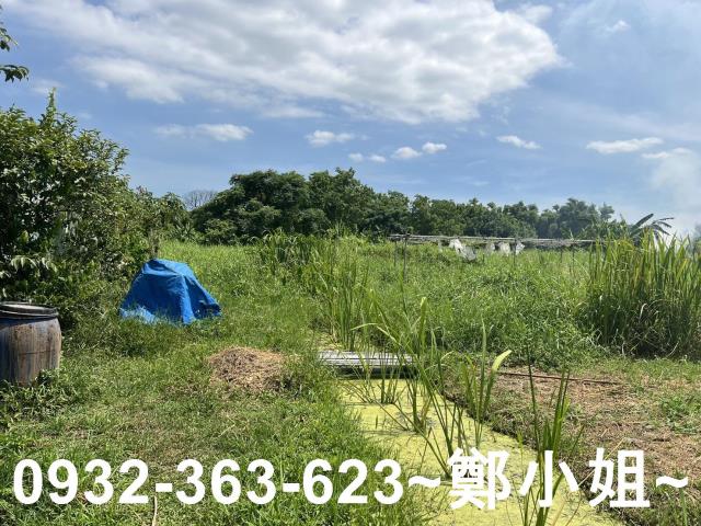 蘆竹農地-2