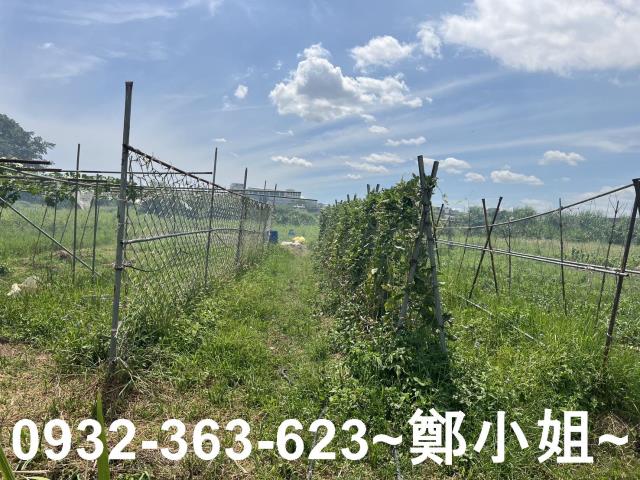 蘆竹農地-3