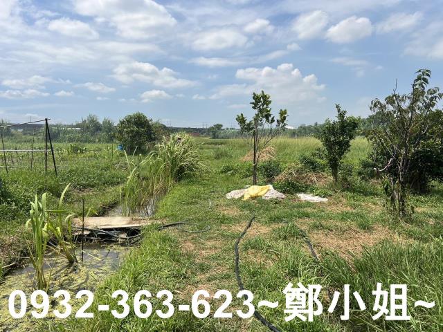 蘆竹農地-4