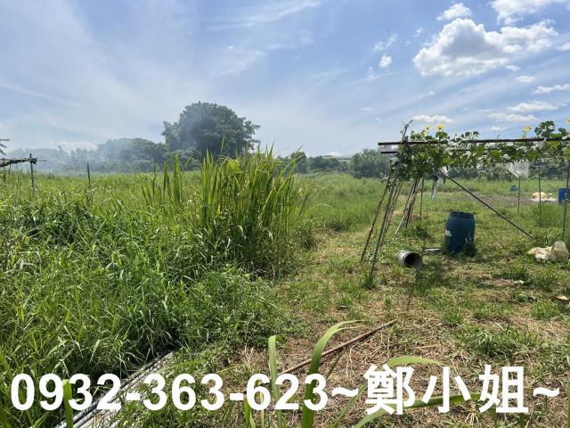 蘆竹農地-5