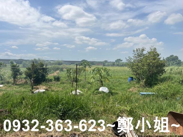 蘆竹農地-6