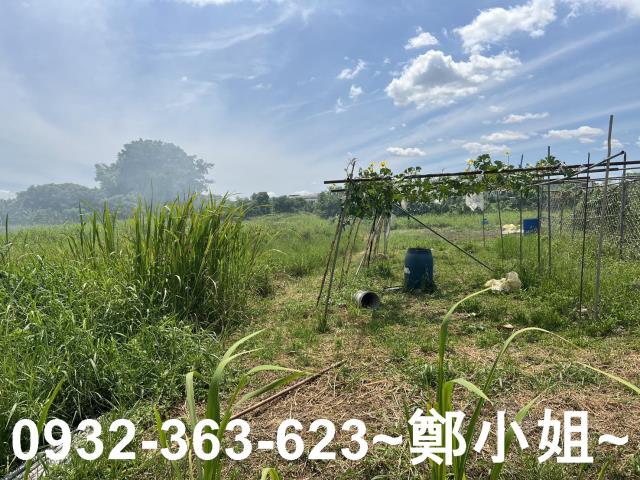 蘆竹農地-7