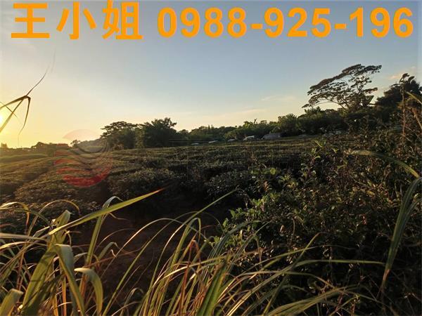 龍潭農地-2