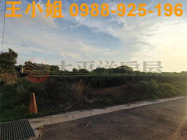 龍潭農地-3