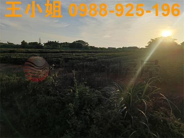 龍潭農地-4
