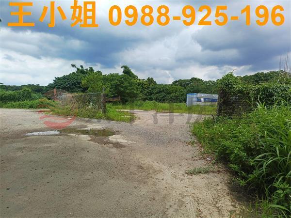 龍潭農地-11