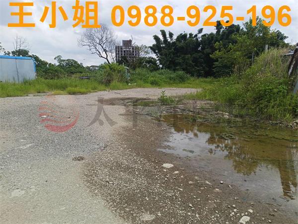 龍潭農地-8