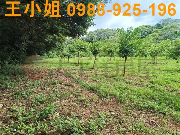 龍潭農地-4