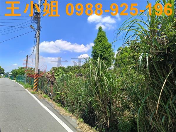 大溪農地-10