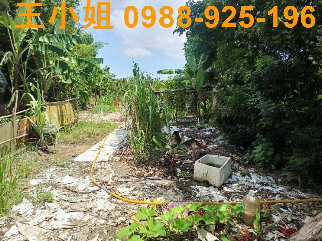 大溪農地-1