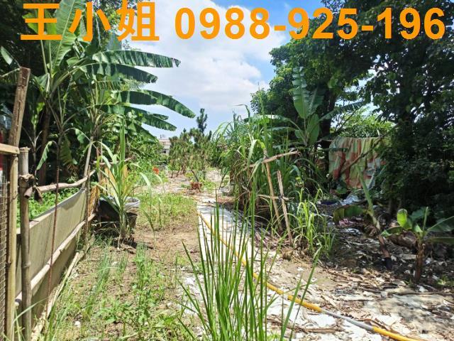大溪農地-2