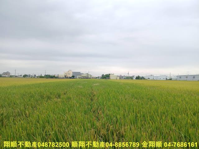 彰化埔鹽農地-1