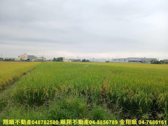 彰化埔鹽農地-2