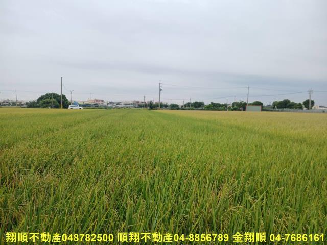 彰化埔鹽農地-3