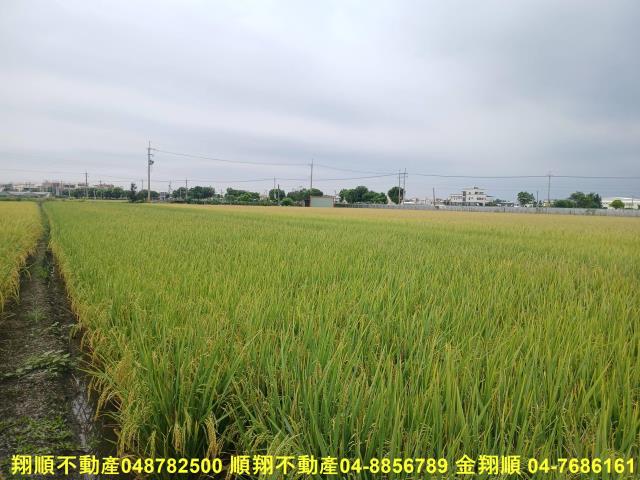 彰化埔鹽農地-4