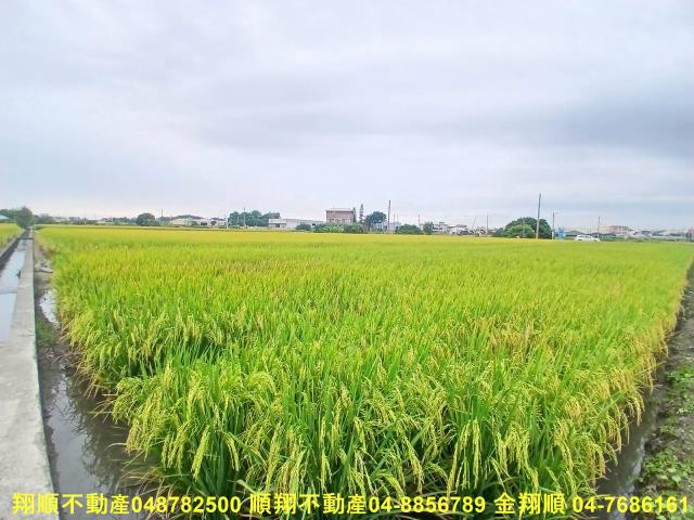 彰化埔鹽農地-5