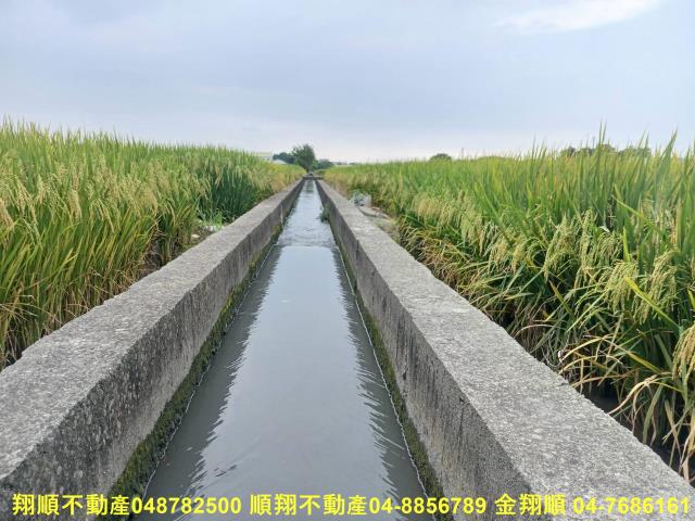 彰化埔鹽農地-6