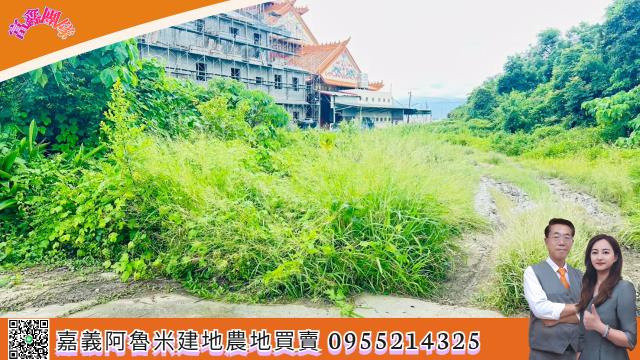 嘉義大林建地-6