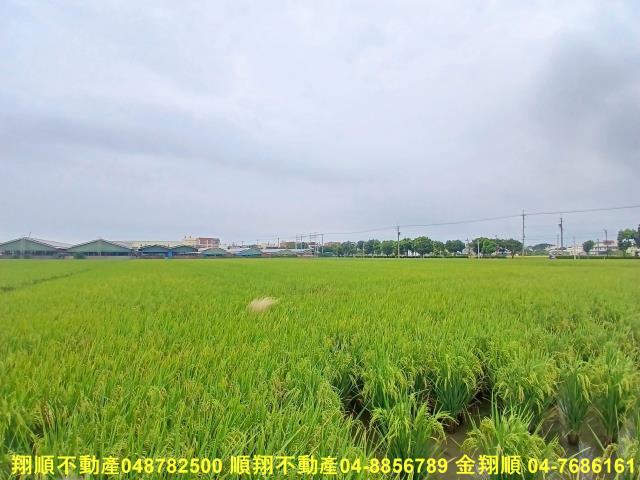 彰化埔鹽農地-3