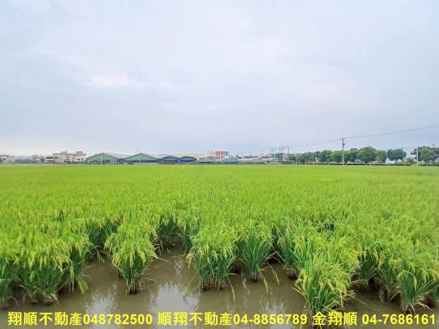彰化埔鹽農地-5