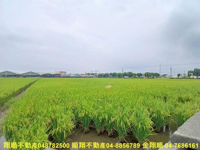 彰化埔鹽農地-6