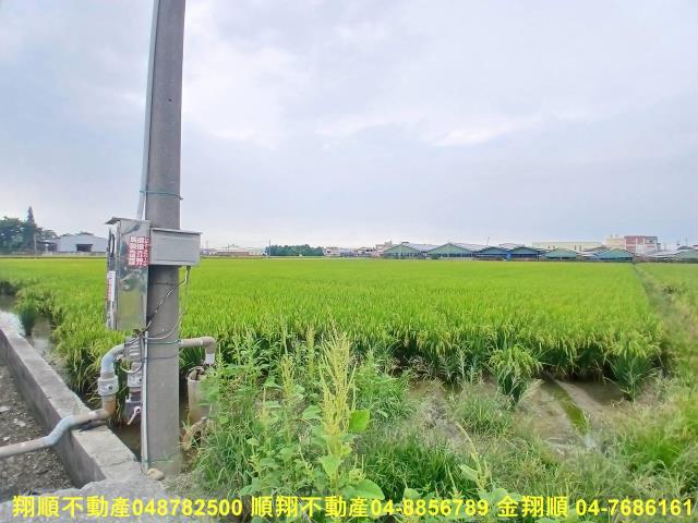 彰化埔鹽農地-8