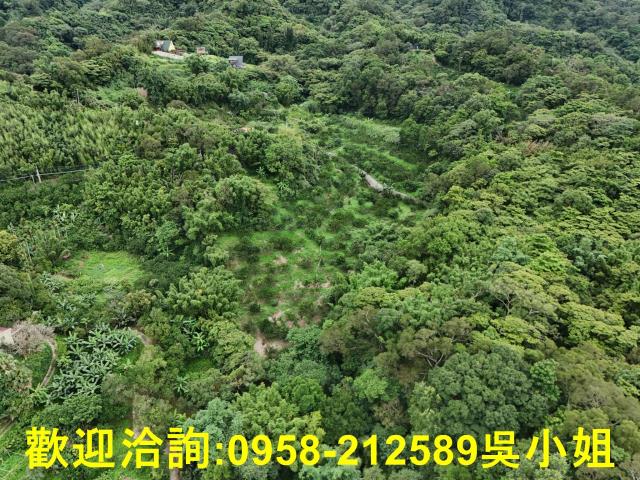 新竹關西山坡地-1