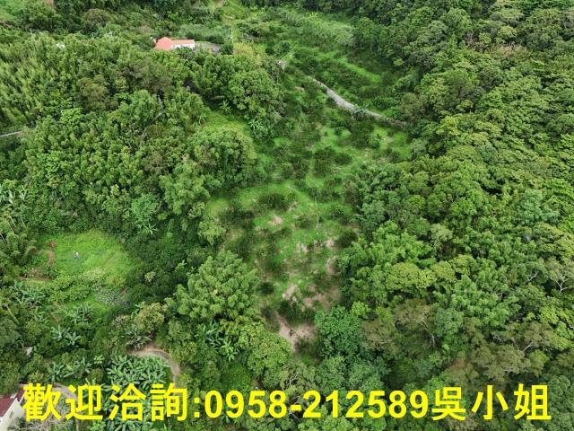 新竹關西山坡地-4