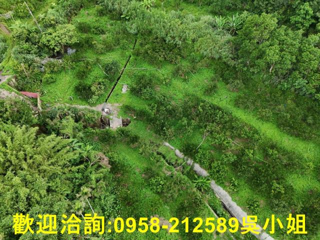 新竹關西山坡地-5